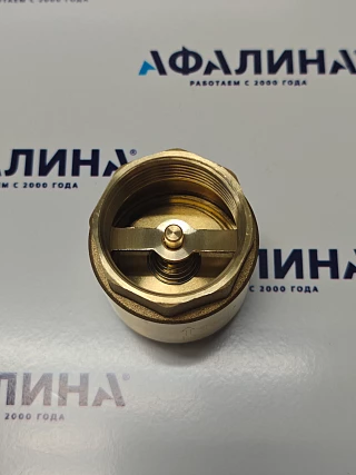 Обратный клапан PROFLINE 1 1/4