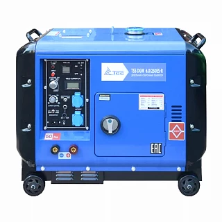 Сварочный дизельный генератор TSS PRO DGW 3.0/250ES-R