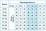 Погружной скважинный насос Belamos TF3-80 (85м, 45л/мин., каб. 65м, диам. 78мм)